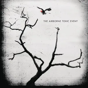 The Airborne toxic event